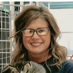 Meet your Posher, Dawn